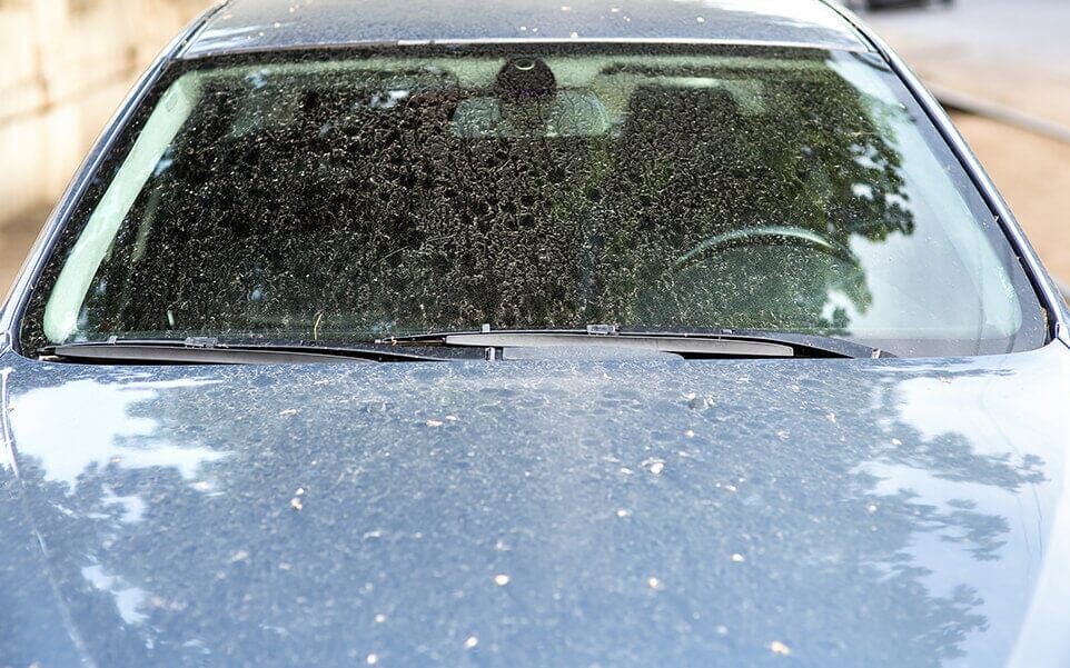 How to remove tree sap from your car