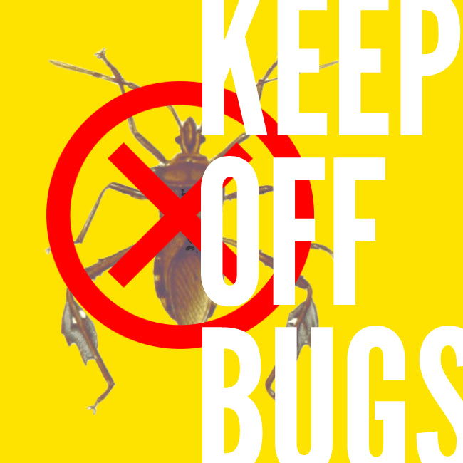 How To Get Bugs Off Your Car In The Shortest Amount of Time